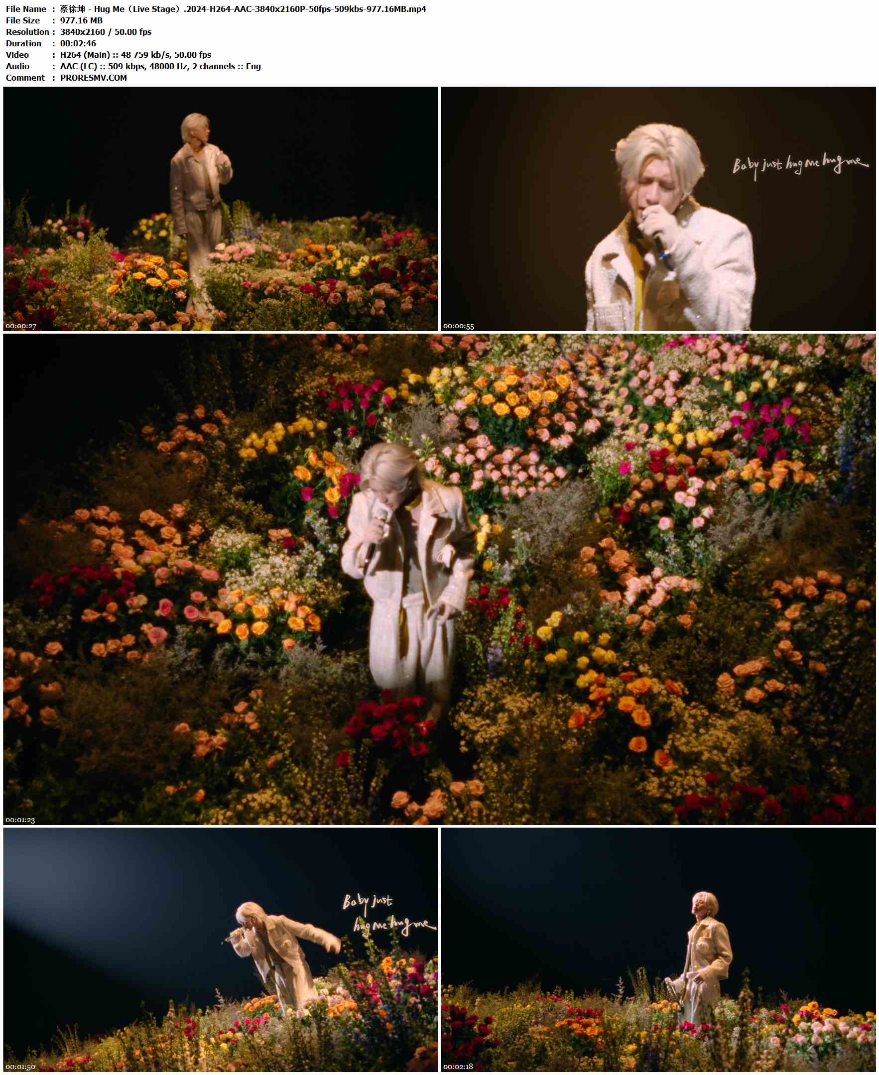 蔡徐坤 - Hug Me（Live Stage）.2024-H264-AAC-3840x2160P-50fps-509kbs-977.16MB官方MV_高清MV